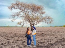 Menjelajah Little Africa di Ujung Pulau Jawa