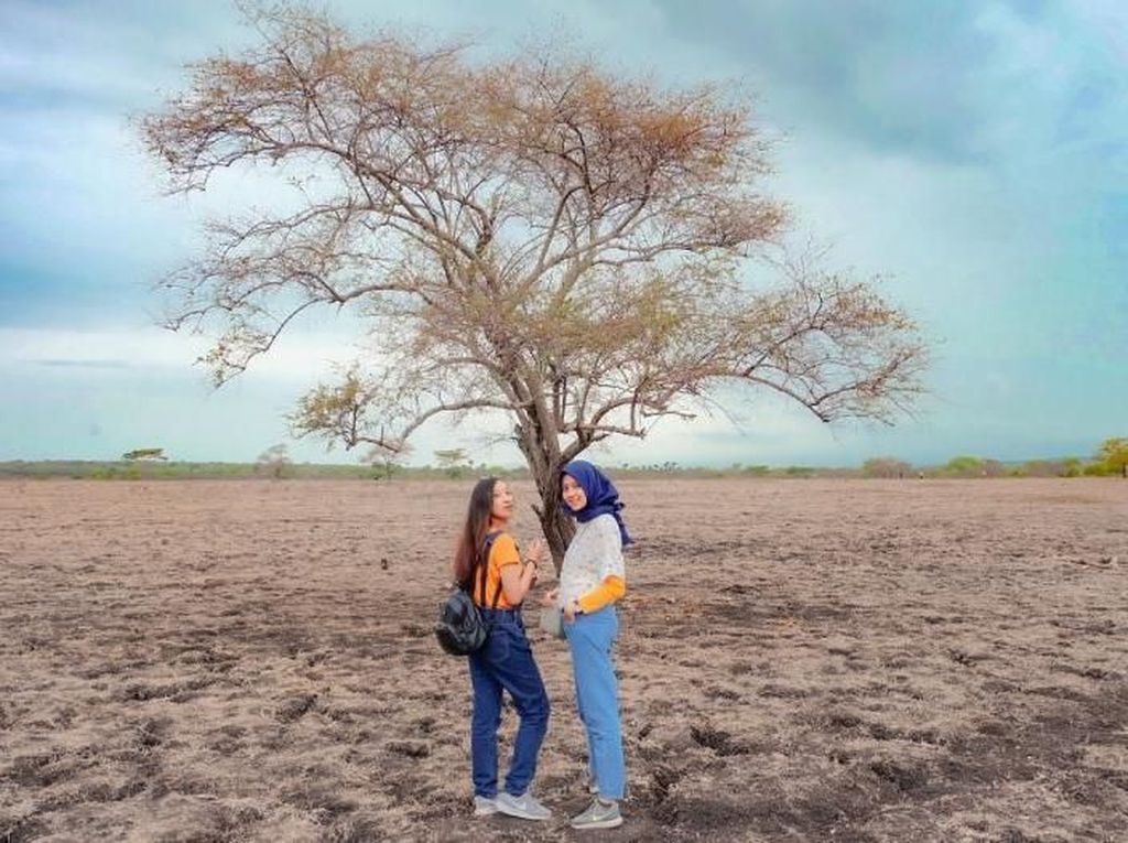 Menjelajah Little Africa di Ujung Pulau Jawa Menjelajah Little Africa di Ujung Pulau Jawa