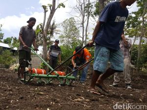 Permudah Sistem Tanam Padi, Warga Gunungkidul Ciptakan Atabela