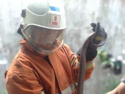 Seekor Ular Kobra Dievakuasi Petugas PMK Surabaya Dari Rumah Warga