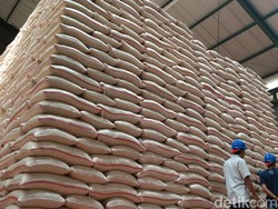 Panen Beras Diprediksi Surplus, RI Mau Ekspor ke China