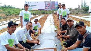 Mengintip Pertanian Terpadu di Tengah Hutan