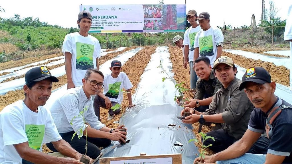 Mengintip Pertanian Terpadu di Tengah Hutan Mengintip Pertanian Terpadu di Tengah Hutan