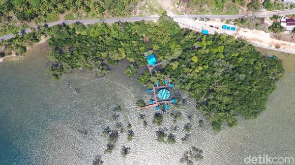 Foto Drone Hutan Bakau yang Cantik dari Maluku Tenggara