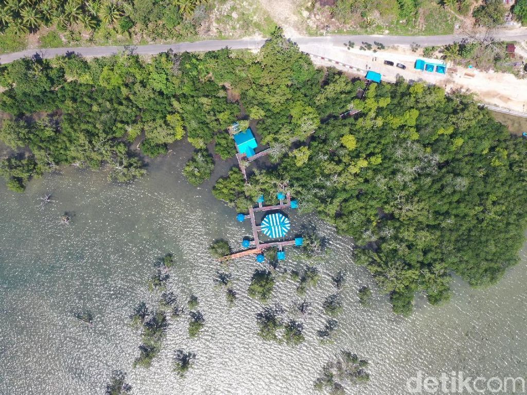Foto Drone Hutan Bakau yang Cantik dari Maluku Tenggara