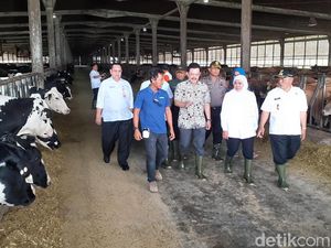 Ini Langkah Khofifah Kurangi Impor Susu di Jawa Timur