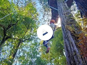 Bergerak Melawan Adrenalin di Ketinggian Kota Rotorua