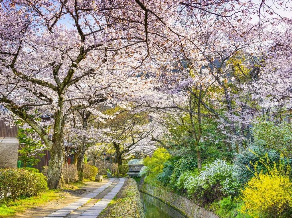 10 Jalanan Paling Instagramable di Dunia 10 Jalanan Paling Instagramable di Dunia
