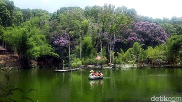 Boon Pring Malang, Wisata Edukasi Bambu yang Sejuk dan Ramah Keluarga