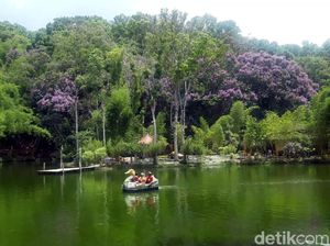5 Destinasi Wisata ala Jepang yang Instagramable di Malang dan Kota Batu 5 Destinasi Wisata ala Jepang yang Instagramable di Malang dan Kota Batu