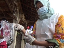 Dinas Peternakan Jatim Cari Penyebab Kematian 9 Sapi di Tulungagung