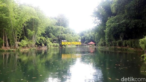 Foto: Hutan Bambu Instagramable dari Malang