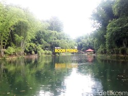 Bukan di Jepang, Ini Hutan Bambu Keren dari Malang