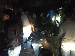 Pohon Tumbang Tutup Jalan, Akses Lintas Medan-Berastagi Terganggu