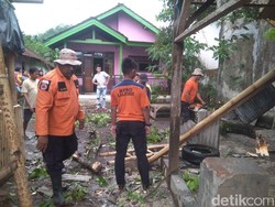 Angin Kencang Terjang 5 Kecamatan di Jember, Ratusan Bangunan Rusak