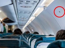 Segitiga Hitam Kecil di Kabin Pesawat Punya Arti Tersembunyi Lho!