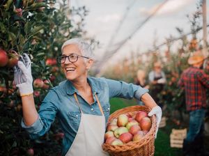 5 Makanan yang Baik Dikonsumsi Orang di Atas 50 Tahun