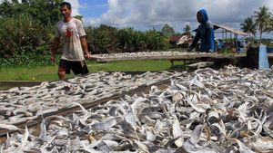 Produksi Ikan Asin di Aceh Barat Meningkat