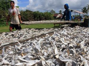 Produksi Ikan Asin di Aceh Barat Meningkat