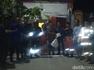 Lagi, Damkar Evakuasi 4 Sarang Tawon Vespa di Makassar