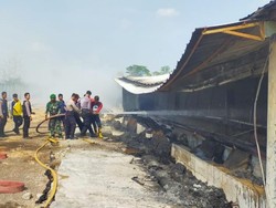 Gudang PT Japfa Pasuruan Terbakar, Kerugian Capai Rp 1,3 M