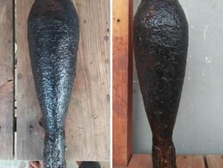 2 Mortir Diduga Sisa Perang Kemerdekaan Ditemukan di Galus Aceh