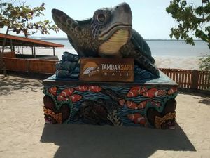 Bali Punya Wisata Konservasi Penyu Loh !