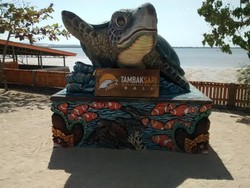 Bali Punya Wisata Konservasi Penyu Loh !