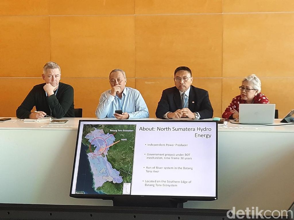 PT NSHE Pastikan Proyek PLTA Batang Toru Tak Ganggu Ekosistem Orang Utan PT NSHE Pastikan Proyek PLTA Batang Toru Tak Ganggu Ekosistem Orang Utan