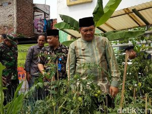 Kendalikan Inflasi, Pemkot Bandung Luncurkan Program Kampung Berkebun