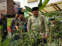 Kendalikan Inflasi, Pemkot Bandung Luncurkan Program Kampung Berkebun