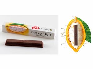 Nyamm! KitKat Hadir dengan Rasa Unik Buah Kakao
