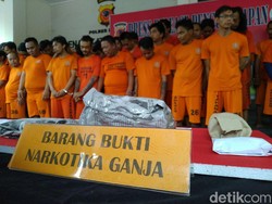 Operasi Antik, Polres Bogor Tangkap 53 Pelaku Kasus Ganja-Sabu