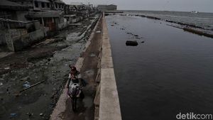 Tanggul Laut Jakarta dari Bocor Hingga Jebol