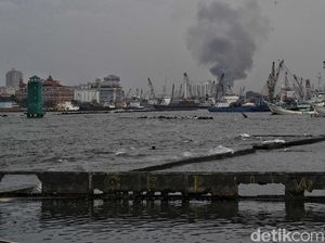 7 Penyebab Kerusakan Laut, Apa Saja?