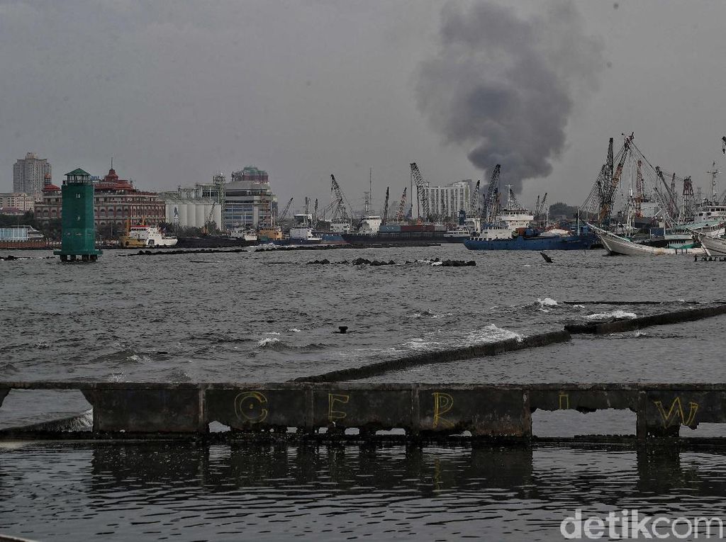 7 Penyebab Kerusakan Laut, Apa Saja? 7 Penyebab Kerusakan Laut, Apa Saja?