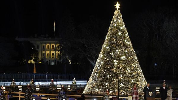 Terpukau Megahnya Pohon Natal Nasional Amerika
