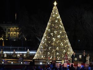 Terpukau Megahnya Pohon Natal Nasional Amerika