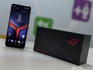 Ada Black Shark di Indonesia, Asus Tak Peduli Ada Black Shark di Indonesia, Asus Tak Peduli