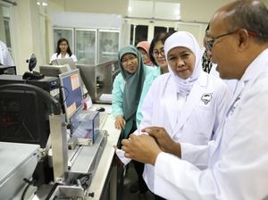 Dorong Swasembada Daging Nasional, Khofifah Optimalkan Inseminasi Buatan Dorong Swasembada Daging Nasional, Khofifah Optimalkan Inseminasi Buatan