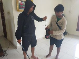 Pawang Cari Induk Kobra di Perumahan Citayam, Tangkap Anak Ular di Musala