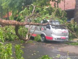 Angin Kencang Terjang Bojonegoro, Banyak Rumah Ambruk dan Pohon Tumbang
