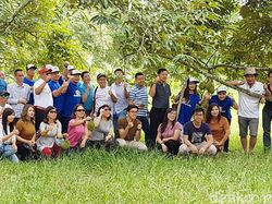 Yang Baru dari Batam, Wisata Kebun Durian