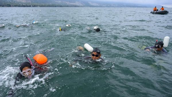 Intip Keseruan Renang Lintas Teluk Palu