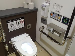 Jepang yang Pemalu, Toilet Saja Dibuat Bisa Bernyanyi
