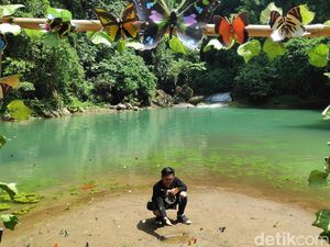 Foto: Ribuan Kupu-kupu di Taman Bantimurung