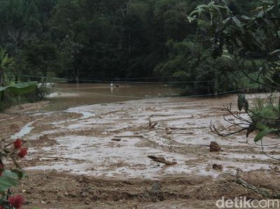 Danau Lumpur Dadakan Terjang 4 Hektare Sawah di Bandung Barat