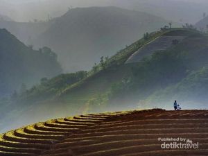 Kamu Pasti Terpesona dengan Terasering Argapura Ini, Dijamin! Kamu Pasti Terpesona dengan Terasering Argapura Ini, Dijamin!