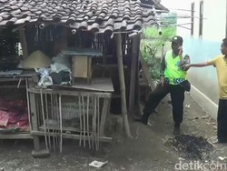 Teror Anjing Liar Resahkan Warga Probolinggo, Banyak Kambing Ternak Mati