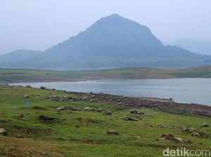 Skotlandia? Bukan, Ini di Waduk Jatiluhur Skotlandia? Bukan, Ini di Waduk Jatiluhur